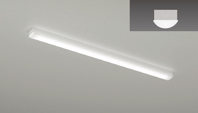 品質一番の 遠藤照明 ベースライト 一般形 ERK1001W ランプLED・蛍光灯・電球 天井照明 DIAMONSINTERNATIONAL