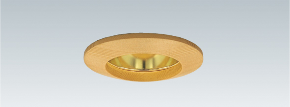 遠藤照明 品番詳細