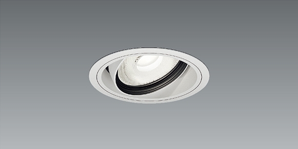 遠藤照明 RAD-772N 施設照明部材 電源内蔵 40W 一般タイプ　全12本 遠藤照明 品番詳細