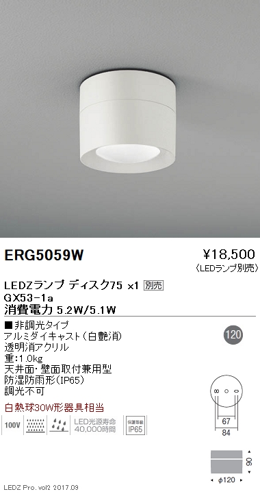 遠藤照明 ENDO LEDアウトドアスタンド 白熱球60W形×1相当 無線調光 防湿防雨形 ERL8224W（ランプ別売） 