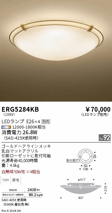 遠藤照明　LED照明器具 ERD7835WB 10個セット 遠藤照明 LED照明器具 ERD7835WB 10個セット